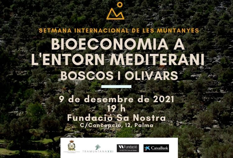 XERRADA PEL DIA INTERNACIONAL DE LES MUNTANYES : Bioeconomia a l’entorn mediterrani. Boscos i olivars.