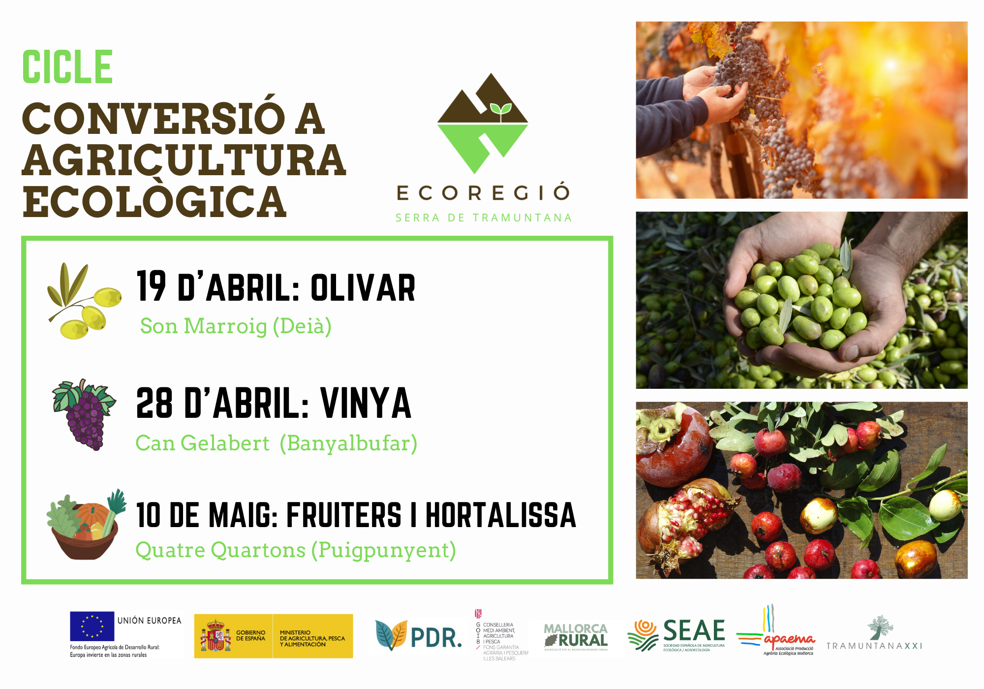 El procès d’EcoRegió Serra de Tramuntana continua amb formacions sobre conversió a l’agricultura agroecològica